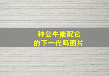 种公牛能配它的下一代吗图片