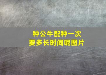 种公牛配种一次要多长时间呢图片