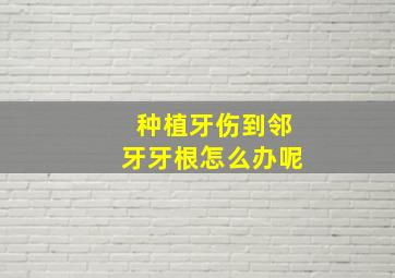 种植牙伤到邻牙牙根怎么办呢