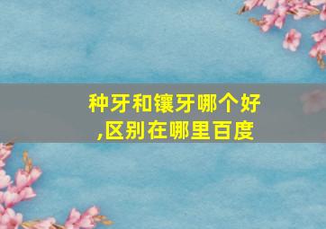 种牙和镶牙哪个好,区别在哪里百度