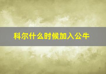 科尔什么时候加入公牛