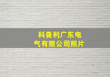 科曼利广东电气有限公司照片