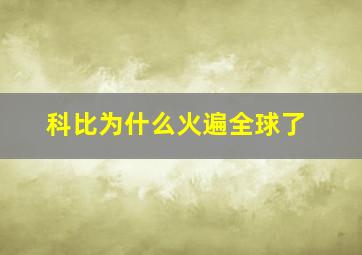 科比为什么火遍全球了