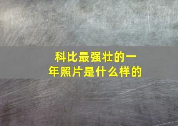 科比最强壮的一年照片是什么样的