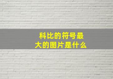 科比的符号最大的图片是什么