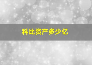 科比资产多少亿