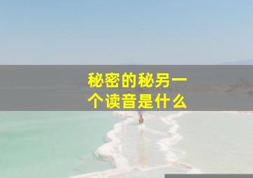 秘密的秘另一个读音是什么