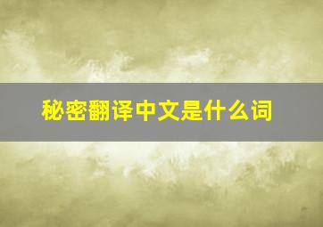 秘密翻译中文是什么词