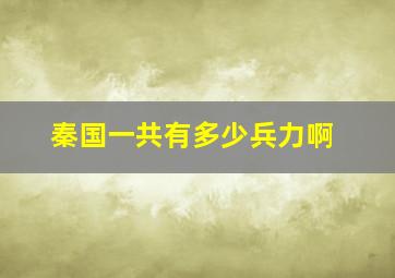 秦国一共有多少兵力啊