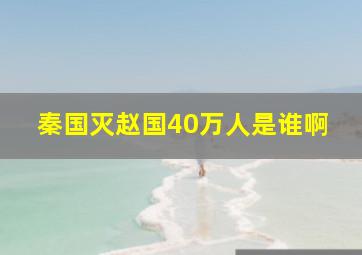 秦国灭赵国40万人是谁啊