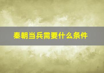 秦朝当兵需要什么条件