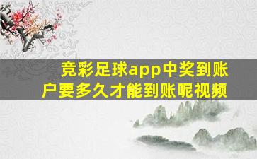 竞彩足球app中奖到账户要多久才能到账呢视频