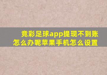 竞彩足球app提现不到账怎么办呢苹果手机怎么设置