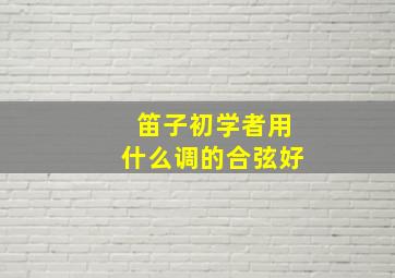 笛子初学者用什么调的合弦好