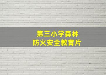 第三小学森林防火安全教育片