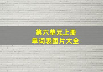 第六单元上册单词表图片大全