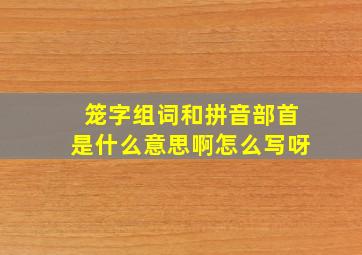 笼字组词和拼音部首是什么意思啊怎么写呀