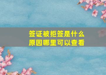 签证被拒签是什么原因哪里可以查看