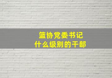 篮协党委书记什么级别的干部