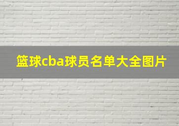 篮球cba球员名单大全图片