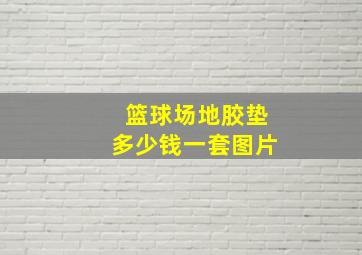 篮球场地胶垫多少钱一套图片