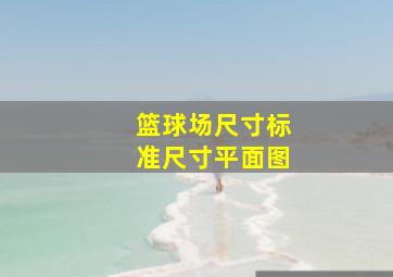 篮球场尺寸标准尺寸平面图