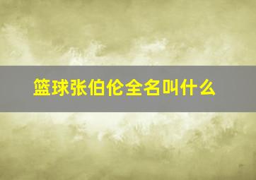 篮球张伯伦全名叫什么