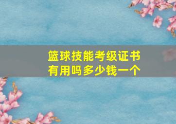 篮球技能考级证书有用吗多少钱一个