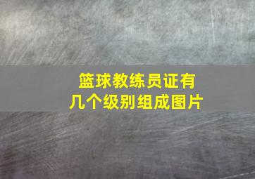 篮球教练员证有几个级别组成图片