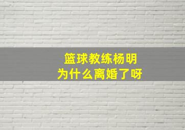 篮球教练杨明为什么离婚了呀