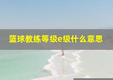 篮球教练等级e级什么意思