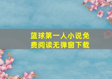 篮球第一人小说免费阅读无弹窗下载