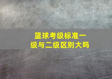 篮球考级标准一级与二级区别大吗