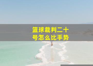 篮球裁判二十号怎么比手势