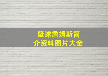 篮球詹姆斯简介资料图片大全