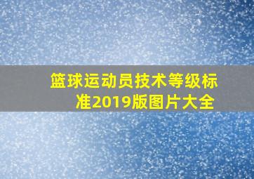 篮球运动员技术等级标准2019版图片大全