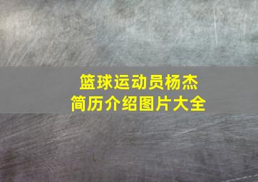 篮球运动员杨杰简历介绍图片大全