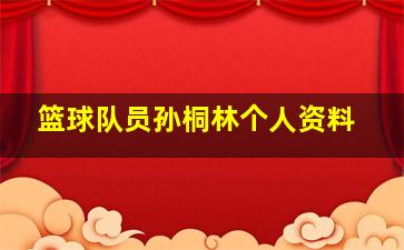 篮球队员孙桐林个人资料