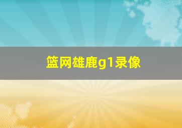 篮网雄鹿g1录像