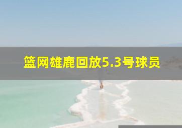 篮网雄鹿回放5.3号球员