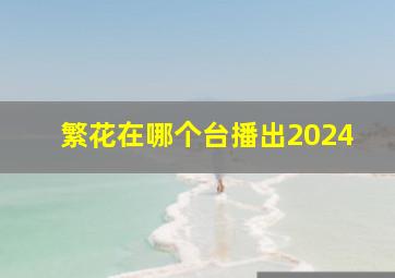 繁花在哪个台播出2024