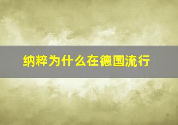 纳粹为什么在德国流行