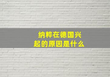 纳粹在德国兴起的原因是什么