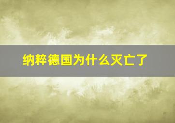 纳粹德国为什么灭亡了