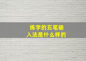 练字的五笔输入法是什么样的