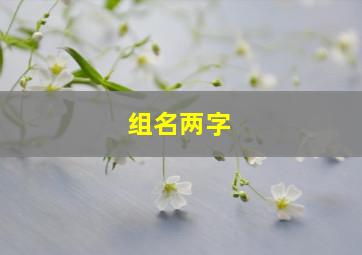 组名两字