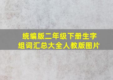 统编版二年级下册生字组词汇总大全人教版图片