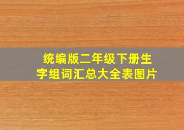 统编版二年级下册生字组词汇总大全表图片