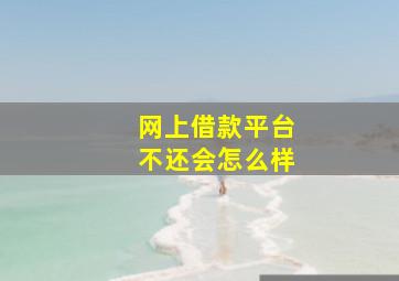 网上借款平台不还会怎么样