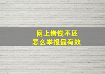 网上借钱不还怎么举报最有效